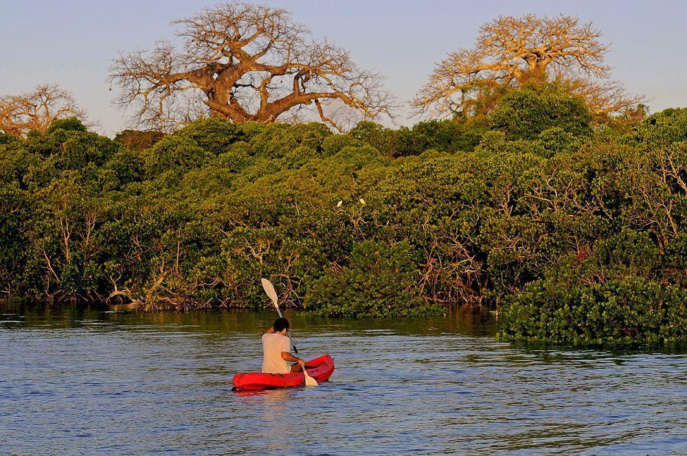 Kinasi Lodge Utende المظهر الخارجي الصورة