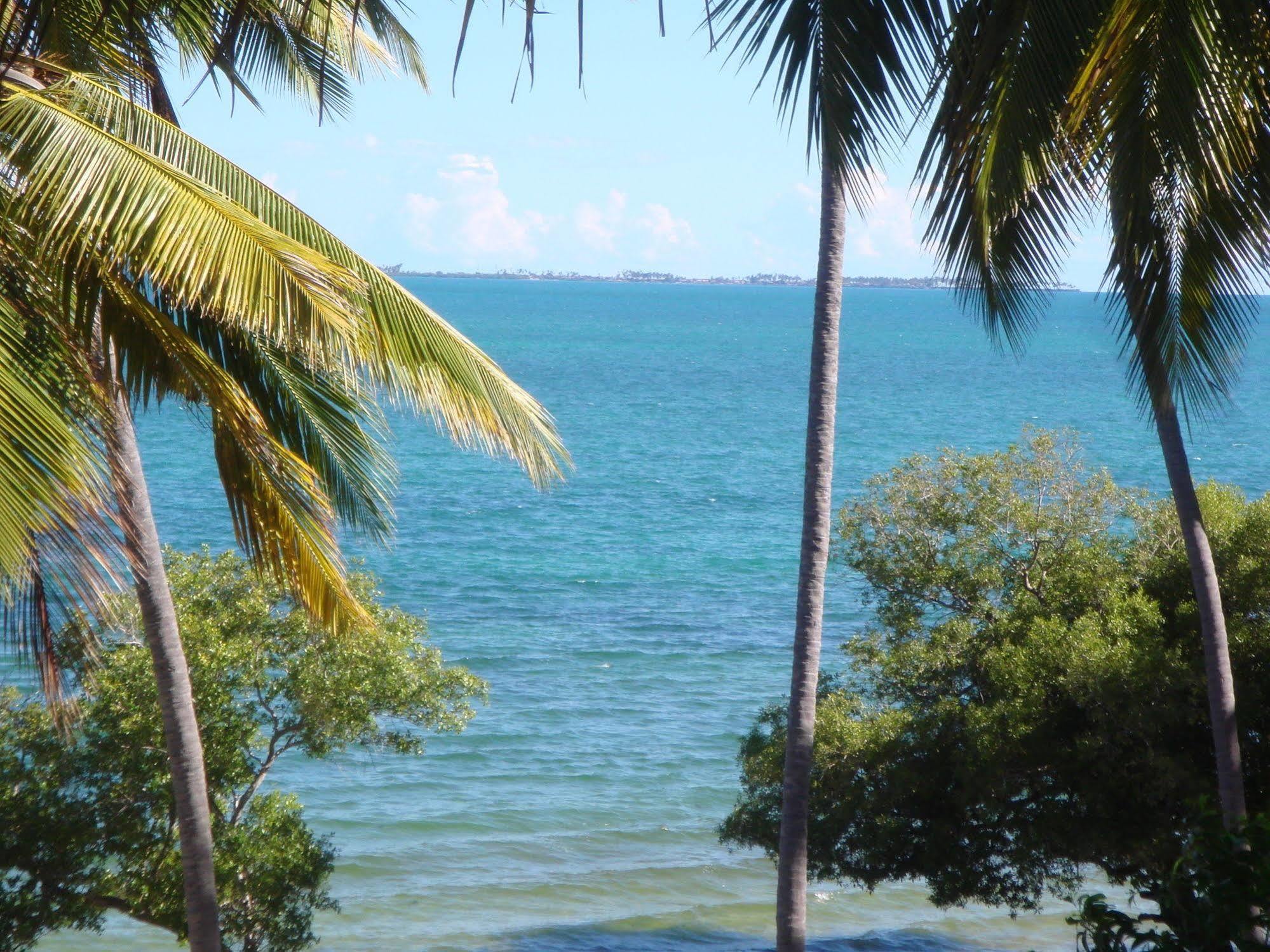 Kinasi Lodge Utende المظهر الخارجي الصورة